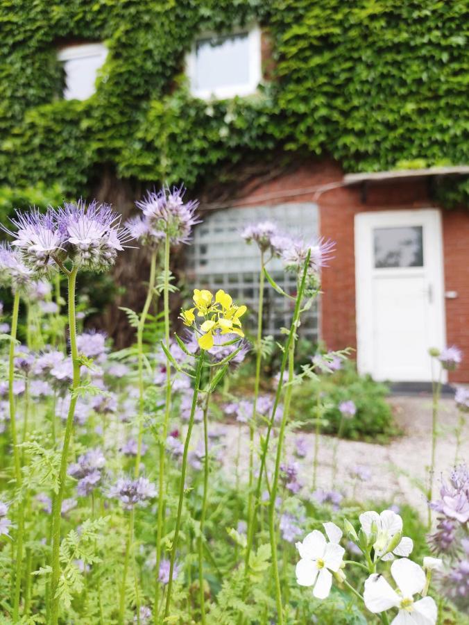 Gemutliche Ferienwohnung Mit Zugang Zum Privaten See Detern Extérieur photo